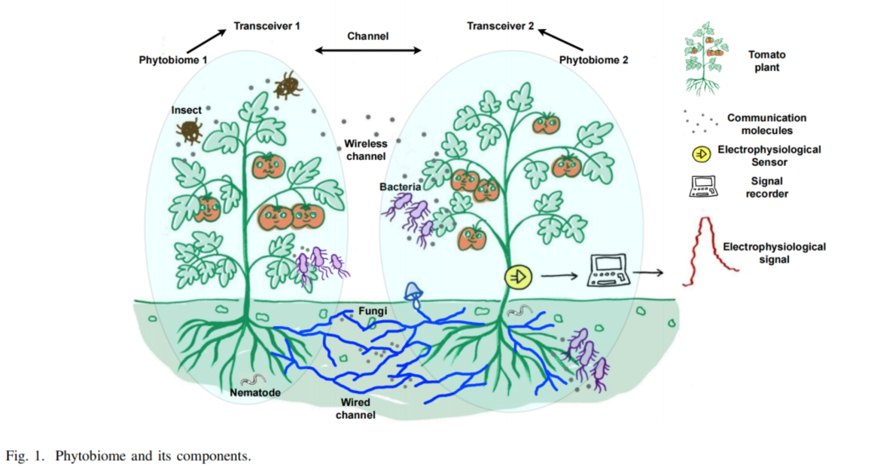 1776046076567127.png image.png