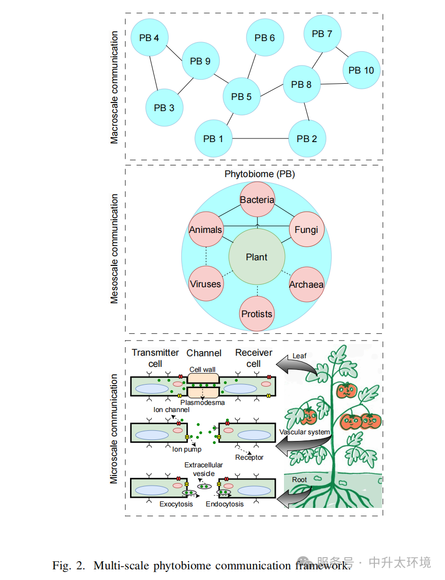 1776046116319459.png 640.png