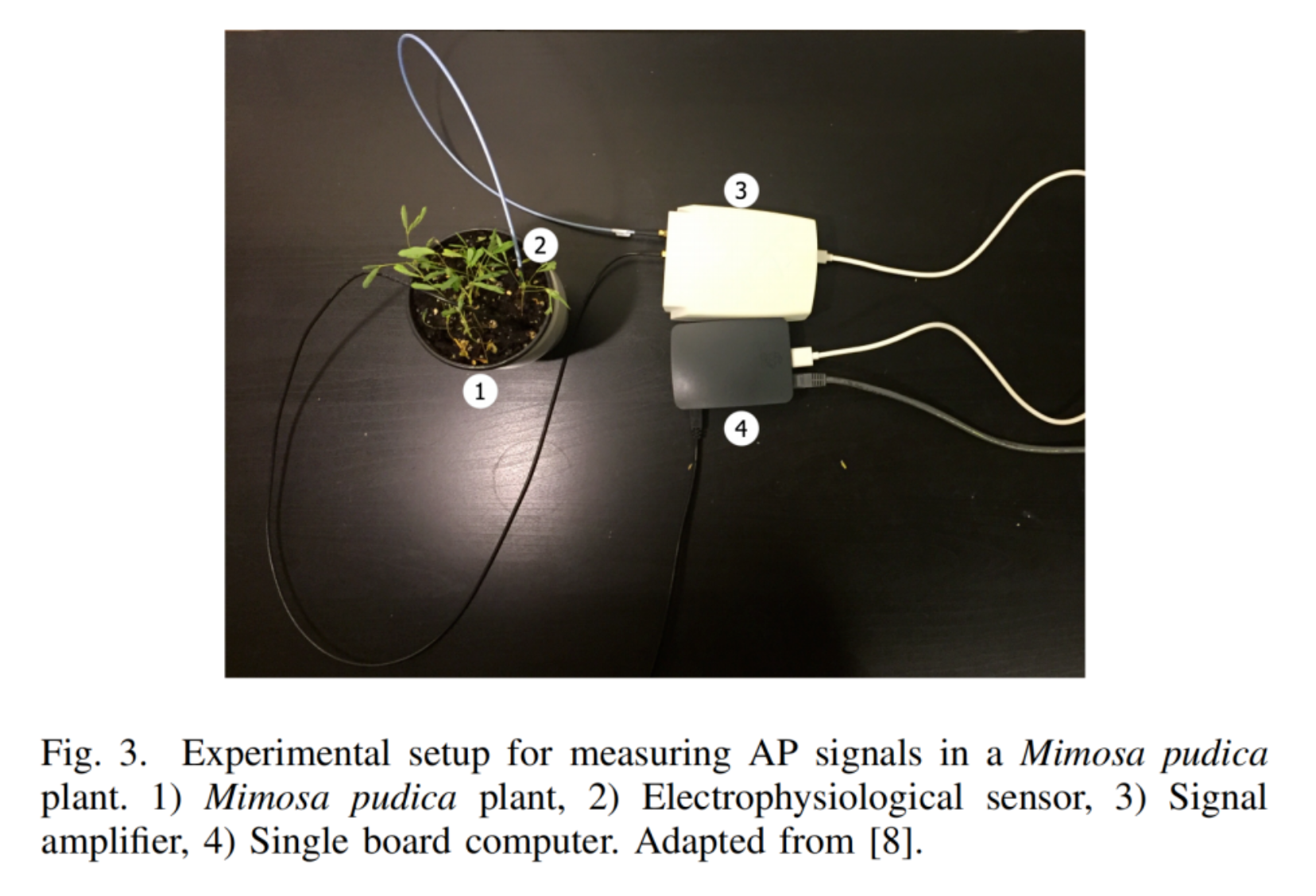 1776046133764904.png image.png